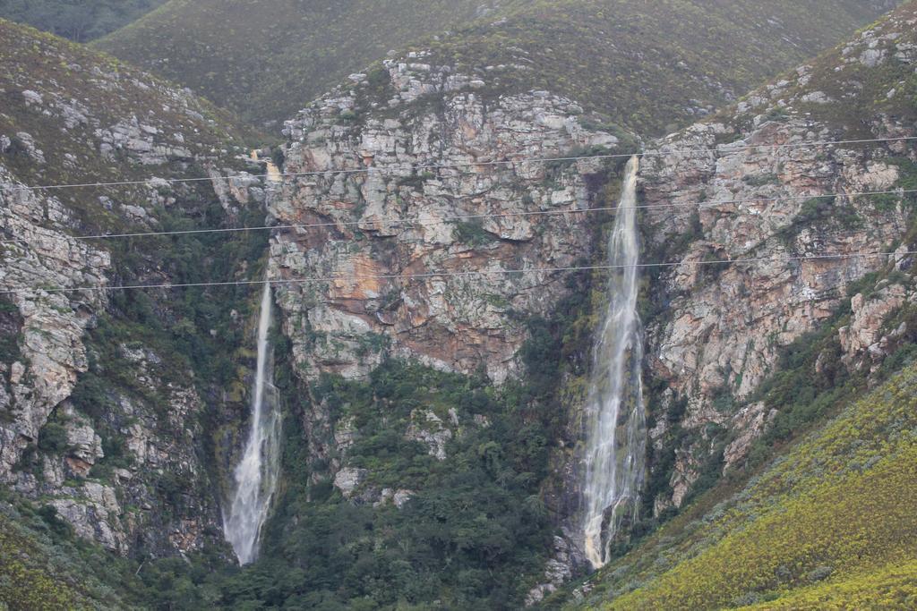 Disa Cottage Hermanus Bagian luar foto